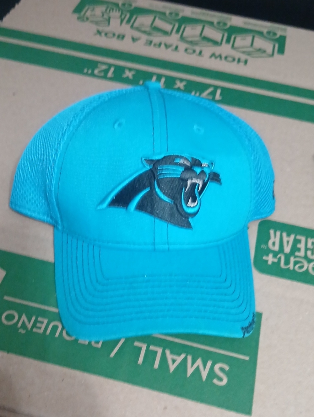 New Era Carolina Panthers Hat